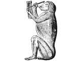 Dog-head baboon (Cynocephalus), kept by wealthy Egyptians as pets, and worshipped as the god Thoth in Egyptian temples. It was supposed to be able to write (as seen here). This may be the `ape` of 1K.10.22, 2Ch.9.21.